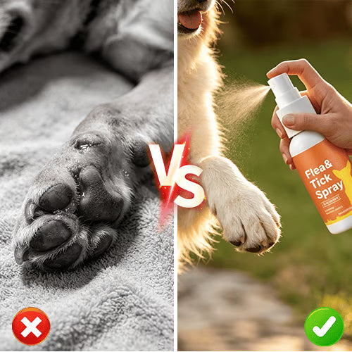 Flea & Tick Pet Care Spray