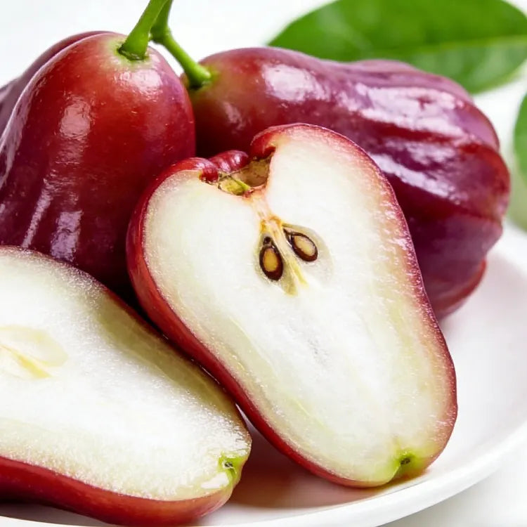 🍎High-End Exotic Wax Apple Seeds