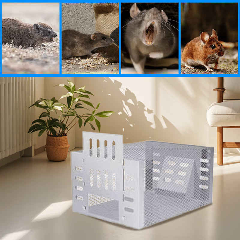 Stainless Steel Automatic Mousetrap