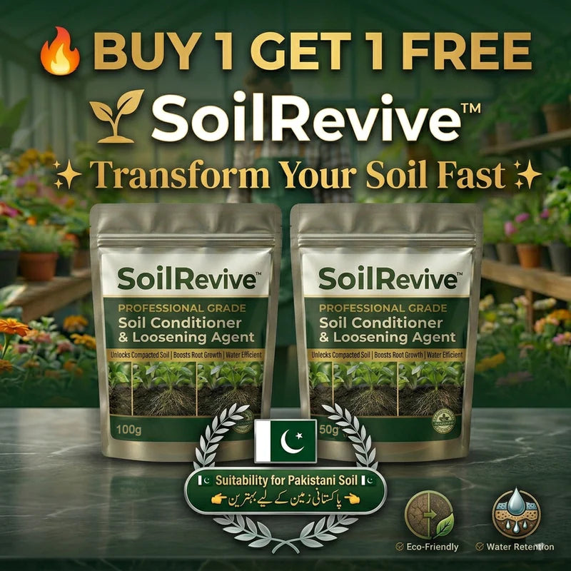 🔥Last Day OF 49% oOFF -Soil Activated Treasure Premium Soil Activator- BUY 1 GET 1 FREE🔥 (Copy)