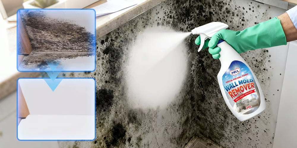 Fast Acting Anti-Mold Wall Cleaner Spray