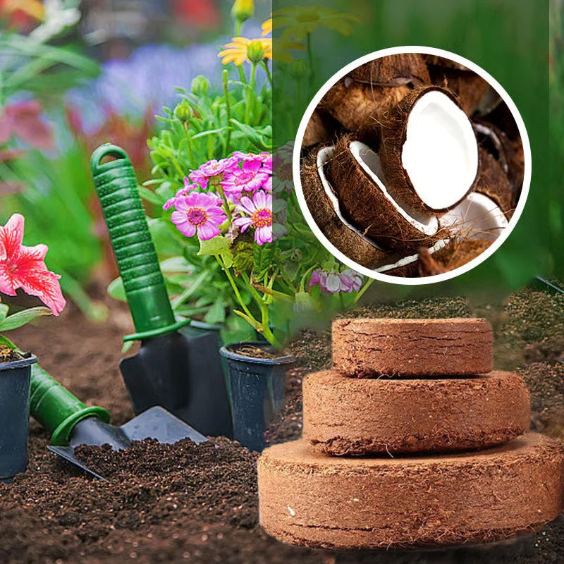 🌱Premium Organic Coconut Coir Bricks for Plants