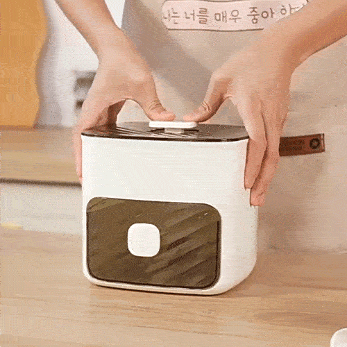 Handled Press-Type Ice Cube Tray (Double-Layer)