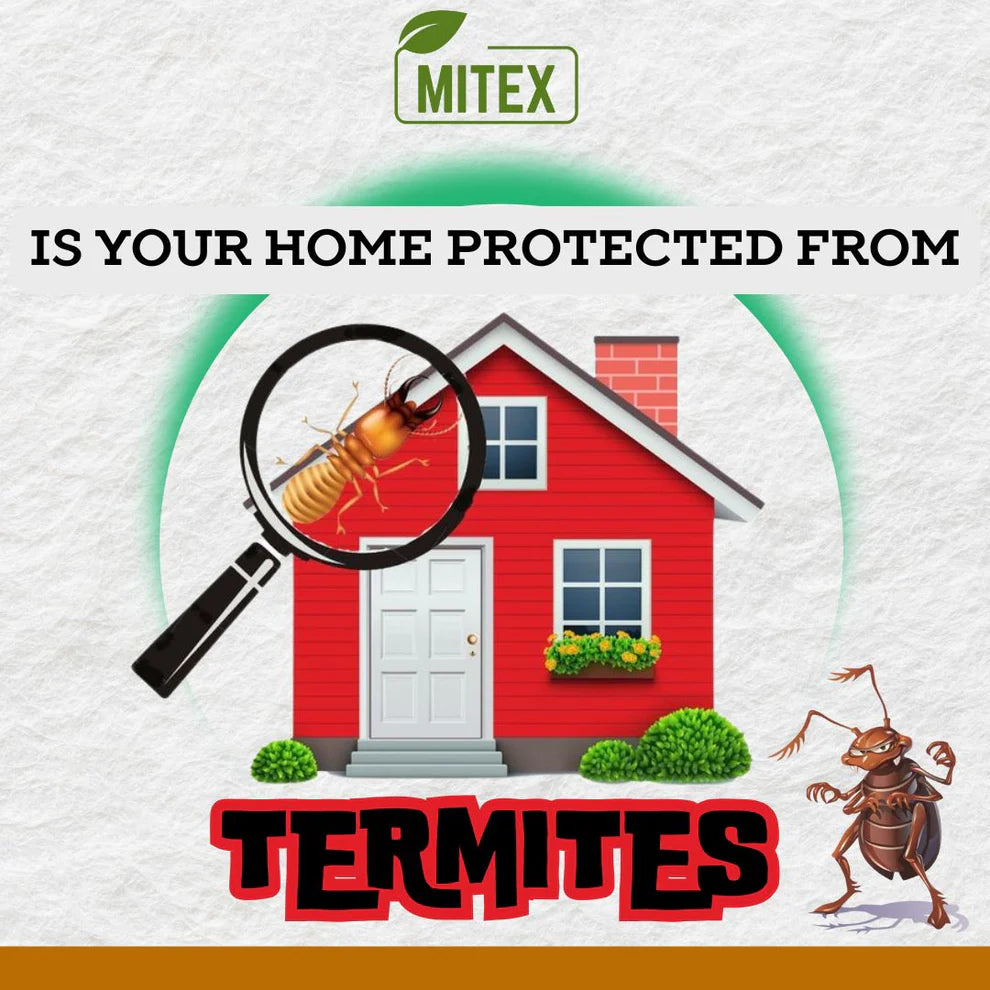 Termite Killer Spray - Effective Pest solution for your home (Buy 1 Get 2 Free!)