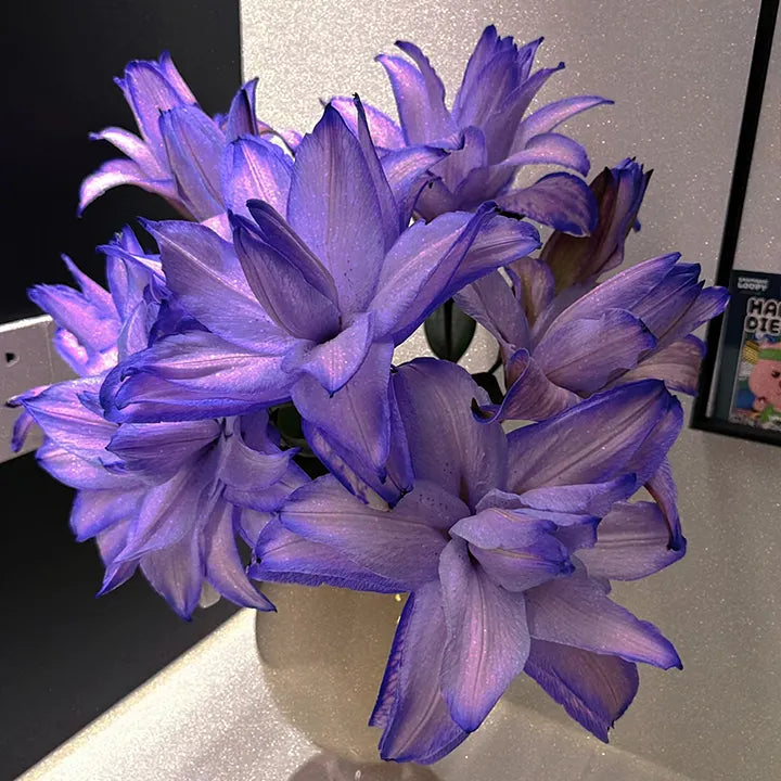 🌸Rare - 💙 Blue Lily