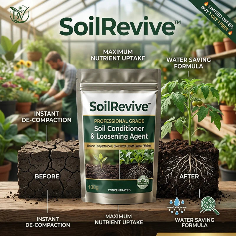 🔥Last Day OF 49% oOFF -Soil Activated Treasure Premium Soil Activator- BUY 1 GET 1 FREE🔥 (Copy)