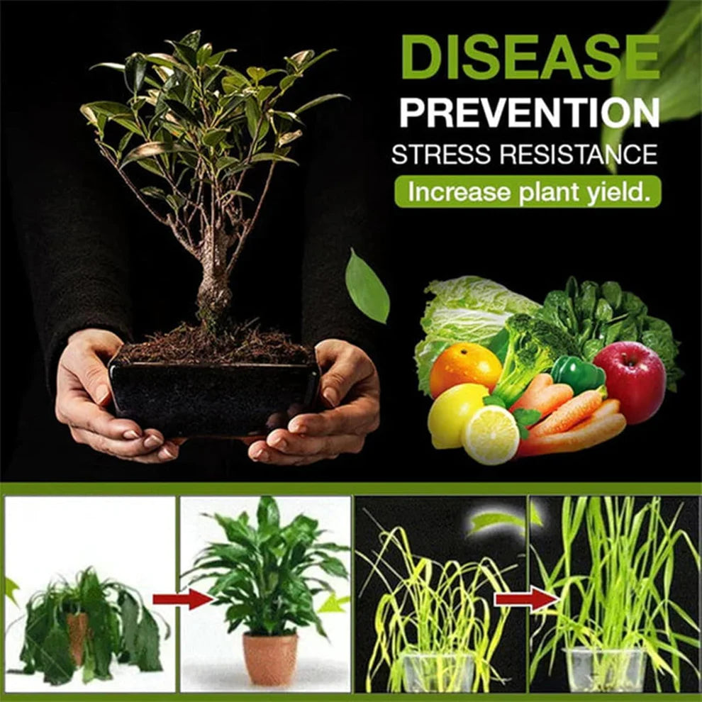 🔥Last Day OF 49% oOFF -Soil Activated Treasure Premium Soil Activator- BUY 1 GET 1 FREE🔥
