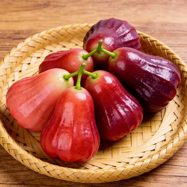 🍎High-End Exotic Wax Apple Seeds