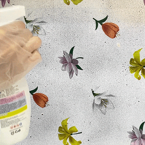 Fast Acting Anti-Mold Wall Cleaner Spray