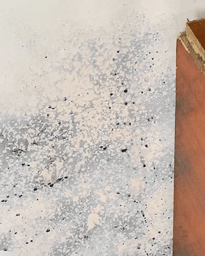 Fast Acting Anti-Mold Wall Cleaner Spray