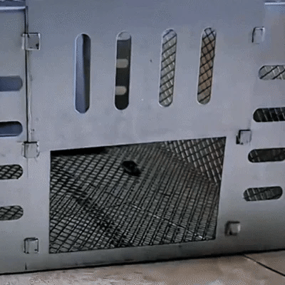 Stainless Steel Automatic Mousetrap