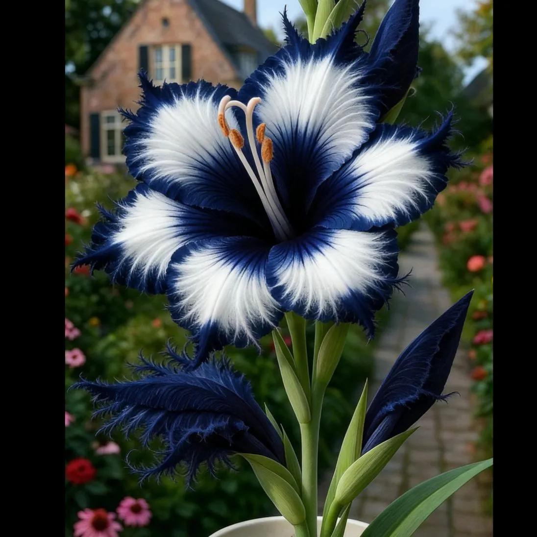 🔥 Last Day OF Sale OF 49 % OFF 🔥 --🪶 Rare Feather-Edged Lily Seeds – Stunning Pink & White Blooms, Easy to Grow