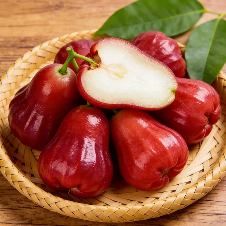 🍎High-End Exotic Wax Apple Seeds