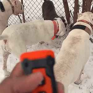 Ultrasonic Dog Repeller