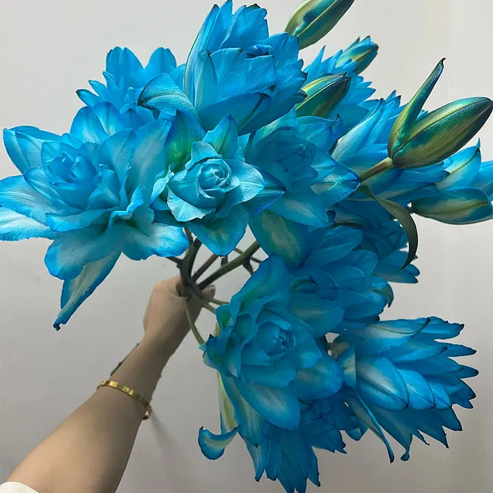 🌸Rare - 💙 Blue Lily