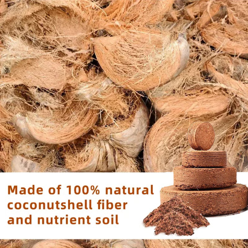 🌱Premium Organic Coconut Coir Bricks for Plants