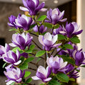 Magnolia liliiflora (Purple Orchids) Bulbs 🌸 Flowers Hide the Leaves, Fragrance Fills the Air