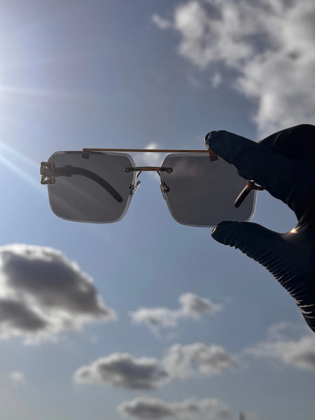 Solar cheetah glasses