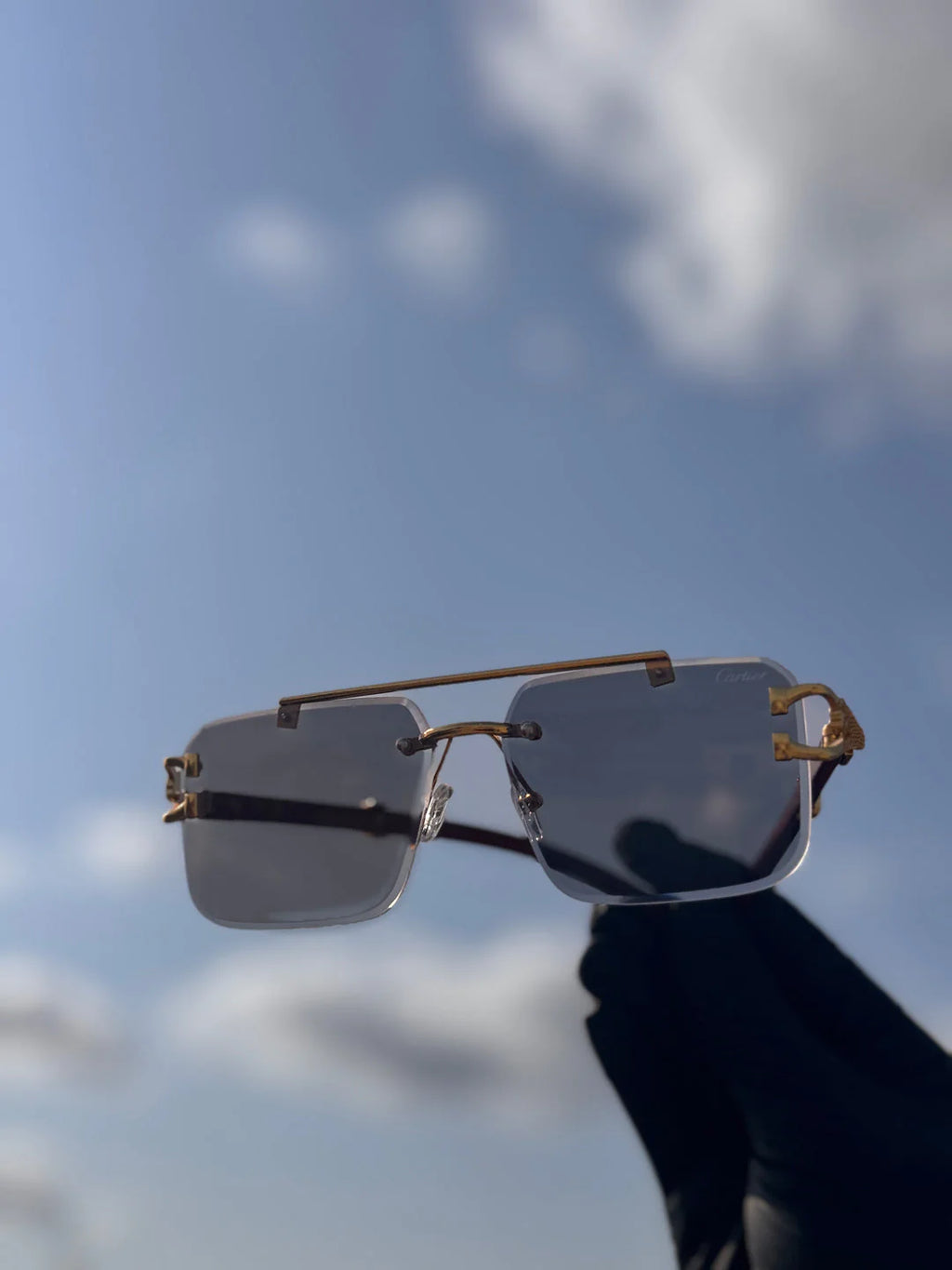 Solar cheetah glasses